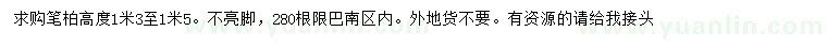 求購高1.3-1.5米筆柏