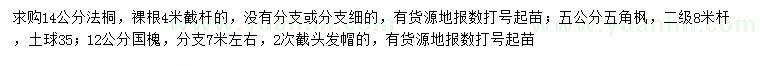 求購法桐、五角楓、國槐
