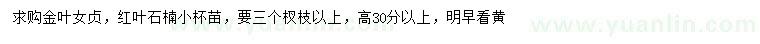 求購高30公分以上金葉女貞、紅葉石楠小苗