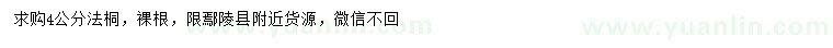求購4公分法桐