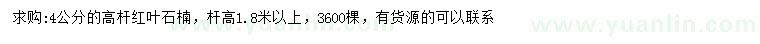 求購4公分紅葉石楠