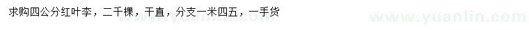 求購4公分紅葉李