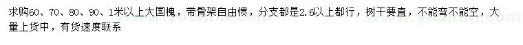 求購0.6、0.7、0.8、0.9、1米以上國槐