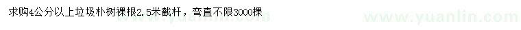求購(gòu)4公分以上樸樹