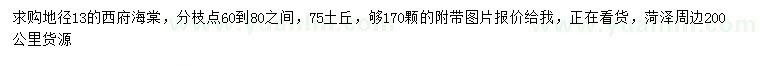 求購地徑13公分西府海棠