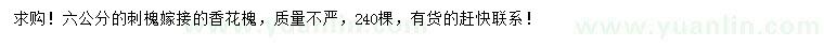 求購6公分香花槐