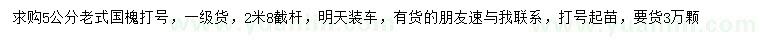 求購5公分老式國槐