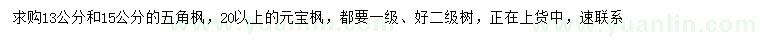 求購(gòu)13、15公分五角楓、20公分以上元寶楓