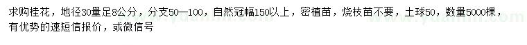 求購30量8公分桂花