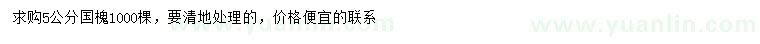 求購5公分國槐