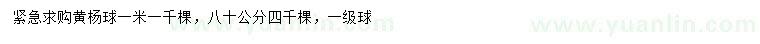 求購(gòu)0.8、1米黃楊球