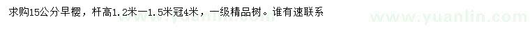求購15公分早櫻