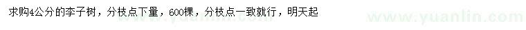 求購4公分李子樹