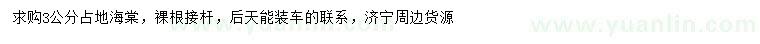 求購3公分海棠