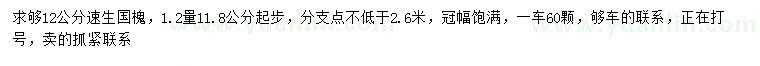 求購1.2米量11.8公分以上速生國槐
