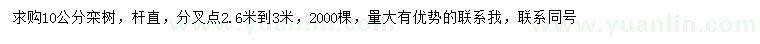 求購10公分欒樹