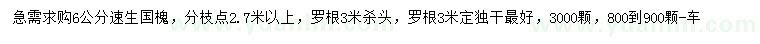 求購6公分速生國槐