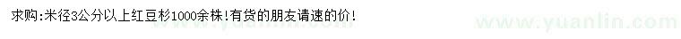 求購米徑3公分以上紅豆杉