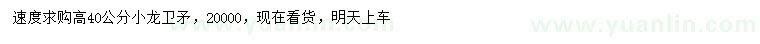 求購高40公分小龍衛(wèi)矛