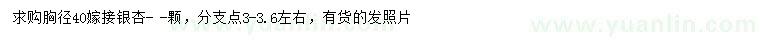 求購胸徑40公分銀杏