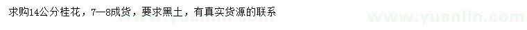 求購(gòu)14公分桂花