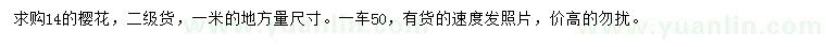 求購1米量14公分櫻花