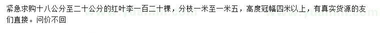 求購18-20公分紅葉李