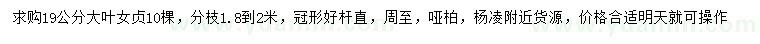 求購19公分大葉女貞