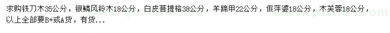 求購(gòu)鐵刀木、銀鱗風(fēng)鈴木、白皮菩提榕等