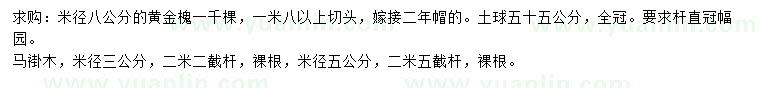 求購米徑8公分黃金槐