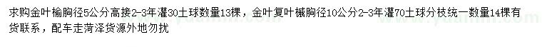 求購胸徑5公分高接金葉榆、胸徑10公分金葉復(fù)葉槭