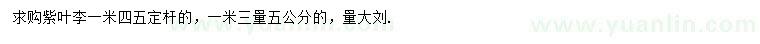 求購1.3米量5公分紫葉李