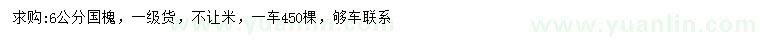 求購6公分國槐