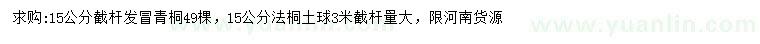 求購15公分青桐、法桐
