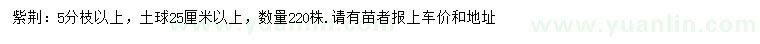 求購(gòu)5分枝以上紫荊