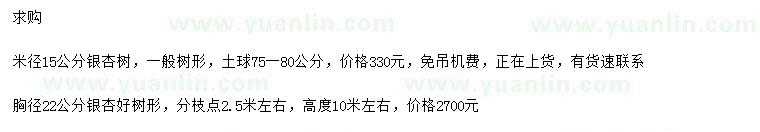 求購米徑15公分銀杏、胸徑22公分銀杏