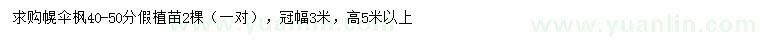 求購40-50公分幌傘楓
