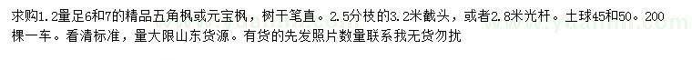 求購1.2米量6、7公分五角楓、元寶楓