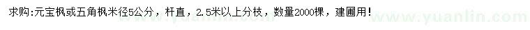 求購(gòu)米徑5公分元寶楓、五角楓