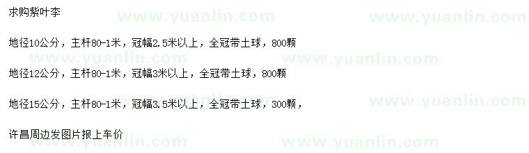 求購(gòu)地徑10、12、15公分紫葉李