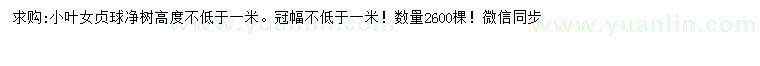 求購高1米以上小葉女貞球