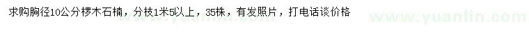 求購(gòu)胸徑10公分欏木石楠