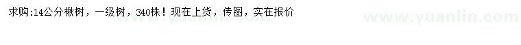 求購(gòu)14公分楸樹(shù)