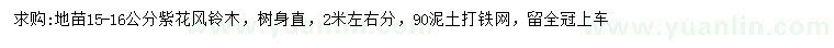 求購15-16公分紫花風(fēng)鈴木