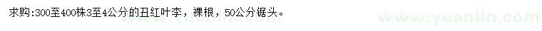 求購3-4公分紅葉李