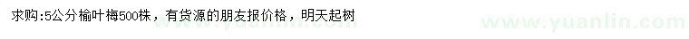 求購5公分榆葉梅