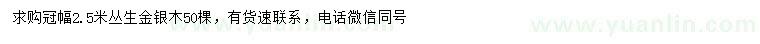 求購冠幅2.5米叢生金銀木