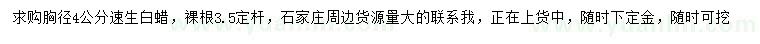 求購胸徑4公分速生白蠟