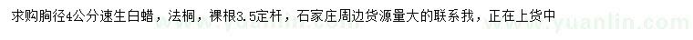 求購(gòu)胸徑4公分速生白蠟、法桐