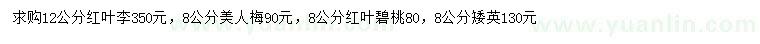 求購紅葉李、美人梅、紅葉碧桃等